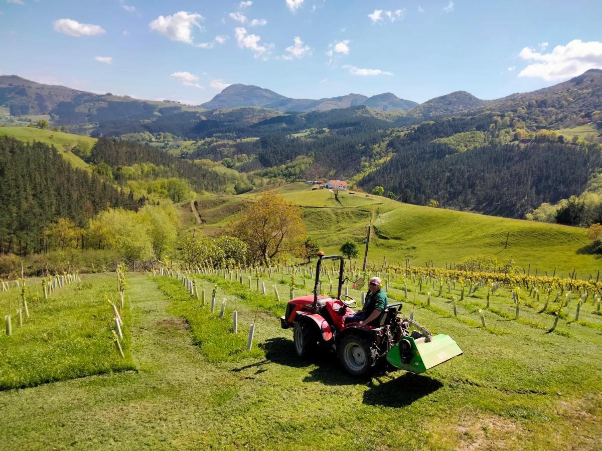 Agroturismo Erlete Goikoa -Estamos En El Camino De Santiago -We Are On The Camino De Santiago Деба Екстериор снимка