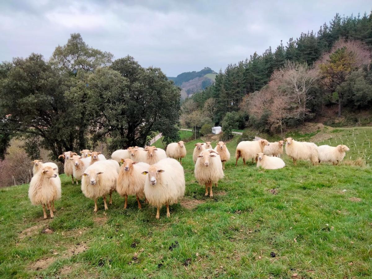 Agroturismo Erlete Goikoa -Estamos En El Camino De Santiago -We Are On The Camino De Santiago Деба Екстериор снимка