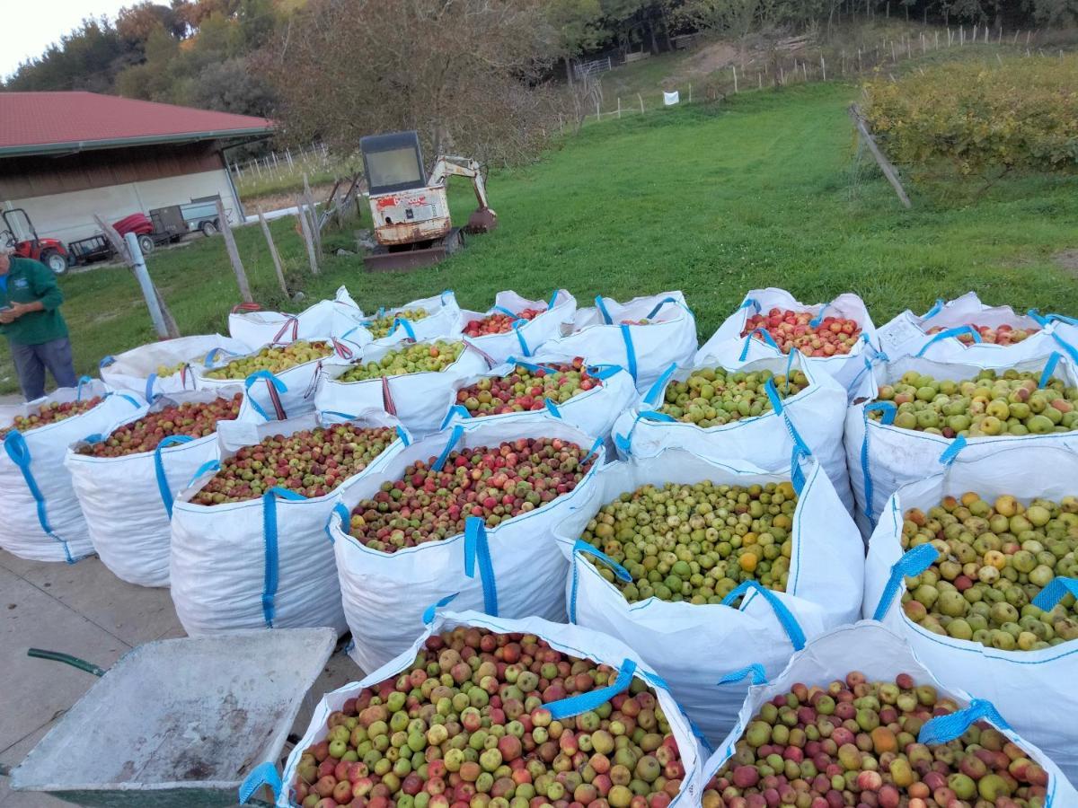 Agroturismo Erlete Goikoa -Estamos En El Camino De Santiago -We Are On The Camino De Santiago Деба Екстериор снимка