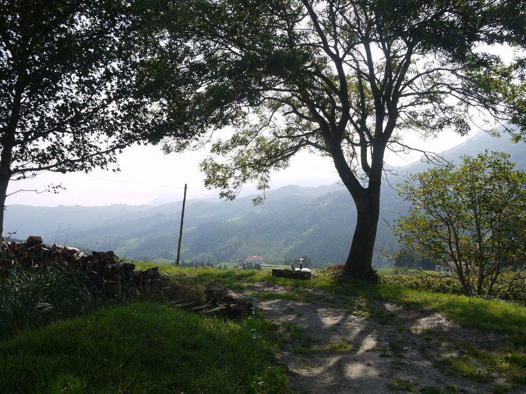 Agroturismo Erlete Goikoa -Estamos En El Camino De Santiago -We Are On The Camino De Santiago Деба Екстериор снимка