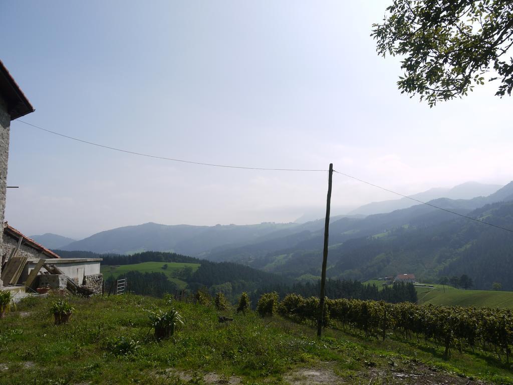 Agroturismo Erlete Goikoa -Estamos En El Camino De Santiago -We Are On The Camino De Santiago Деба Екстериор снимка