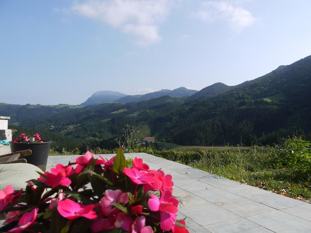 Agroturismo Erlete Goikoa -Estamos En El Camino De Santiago -We Are On The Camino De Santiago Деба Екстериор снимка