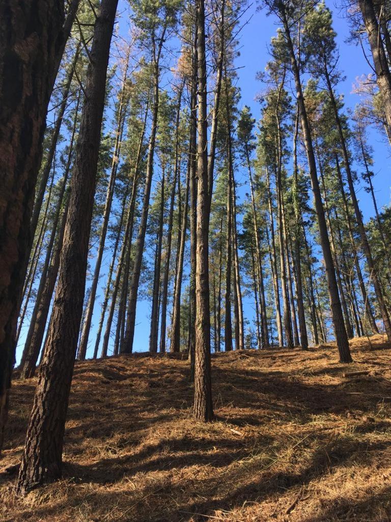 Agroturismo Erlete Goikoa -Estamos En El Camino De Santiago -We Are On The Camino De Santiago Деба Екстериор снимка
