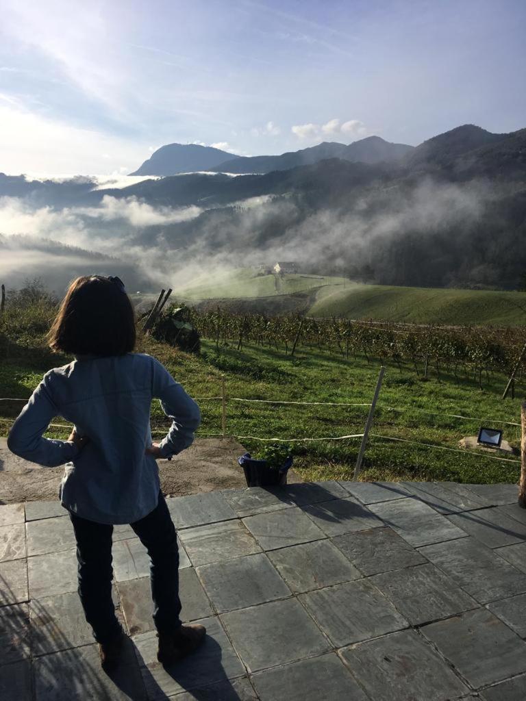 Agroturismo Erlete Goikoa -Estamos En El Camino De Santiago -We Are On The Camino De Santiago Деба Екстериор снимка