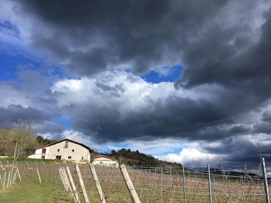Agroturismo Erlete Goikoa -Estamos En El Camino De Santiago -We Are On The Camino De Santiago Деба Екстериор снимка