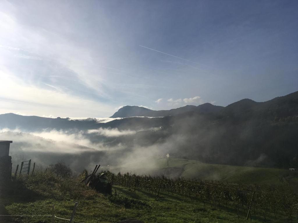 Agroturismo Erlete Goikoa -Estamos En El Camino De Santiago -We Are On The Camino De Santiago Деба Екстериор снимка