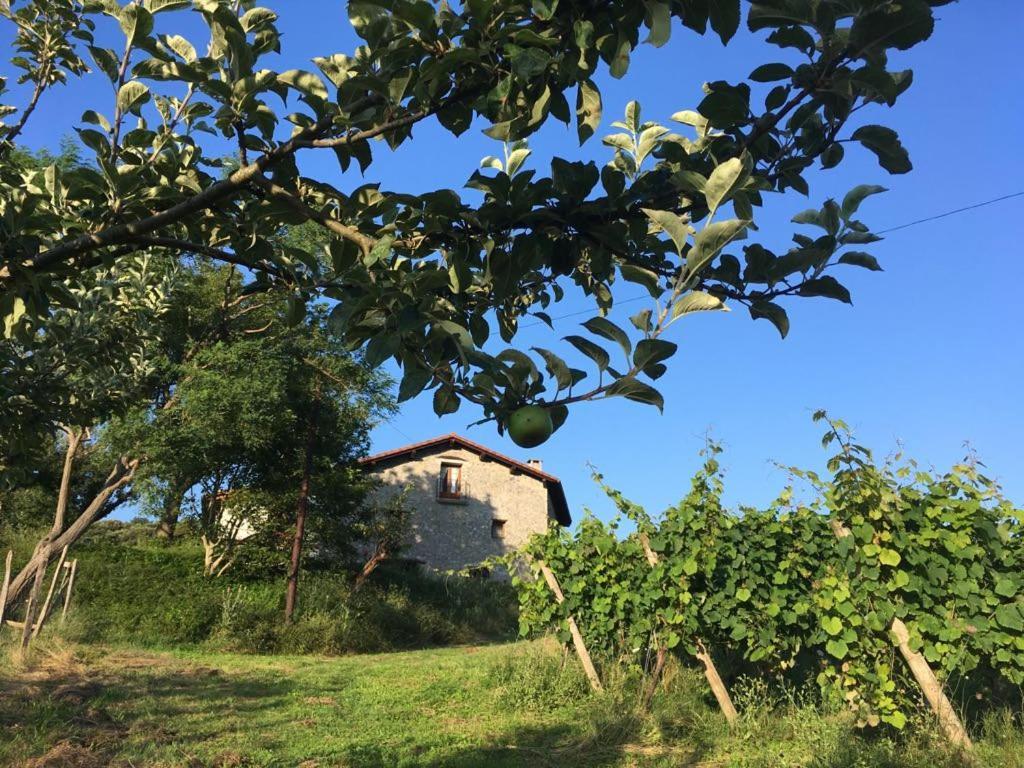 Agroturismo Erlete Goikoa -Estamos En El Camino De Santiago -We Are On The Camino De Santiago Деба Екстериор снимка